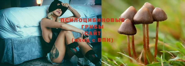 ECSTASY Орехово-Зуево
