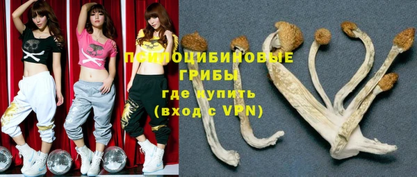 дурь Долгопрудный