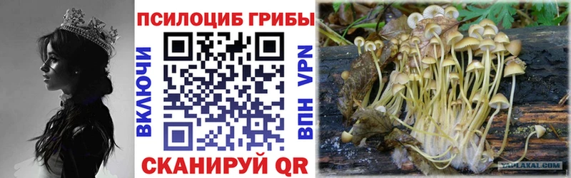 Галлюциногенные грибы GOLDEN TEACHER  Ипатово 