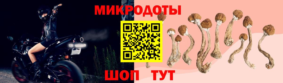что такое   Вход с VPN  Ипатово  Галлюциногенные грибы Psilocybine cubensis 
